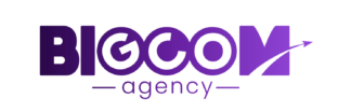 bigcom violet transparent 1(1)