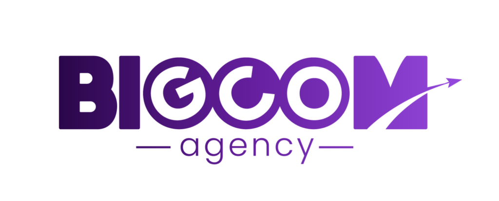 bigcom violet transparent 1(1) (1)
